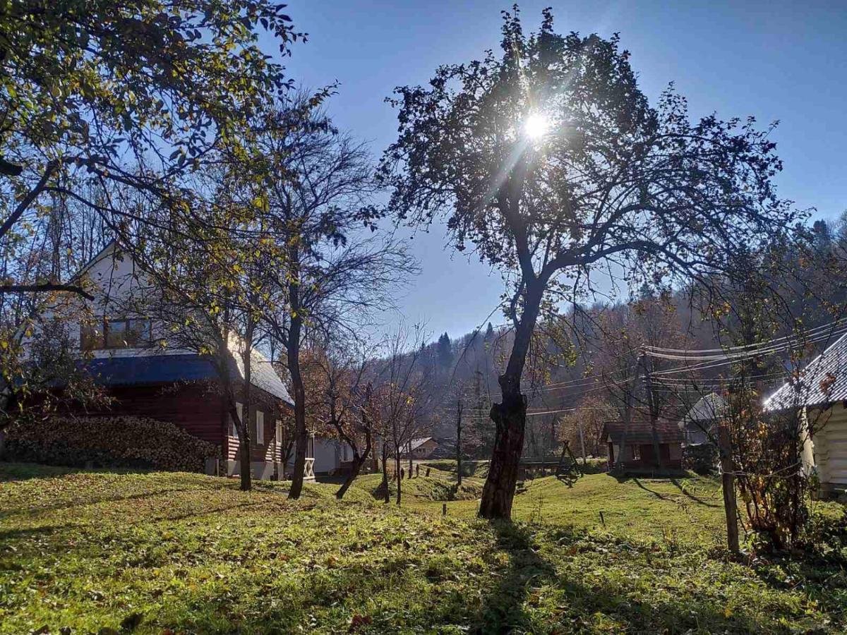 Sadyba Na Luzi Verkhne-Studenyy Exterior photo