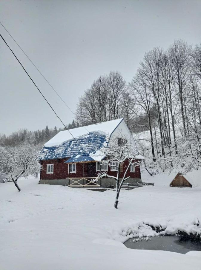 Sadyba Na Luzi Verkhne-Studenyy Exterior photo